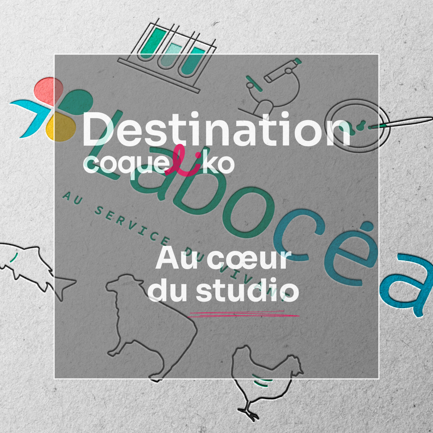 Destination Coqueliko