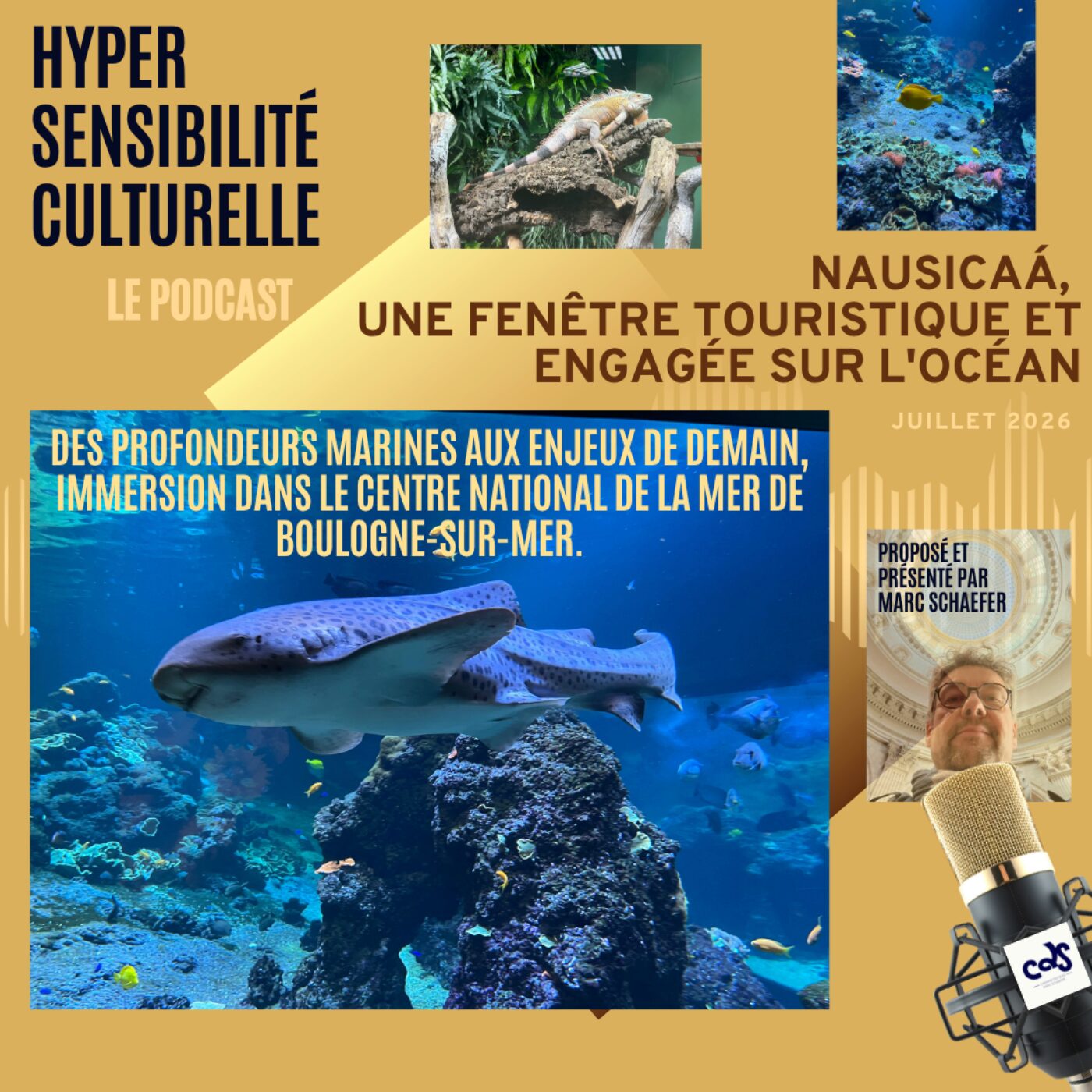 episode cover Un été au TôP : Nausicaá, une fenêtre touristique et engagée sur l'océan