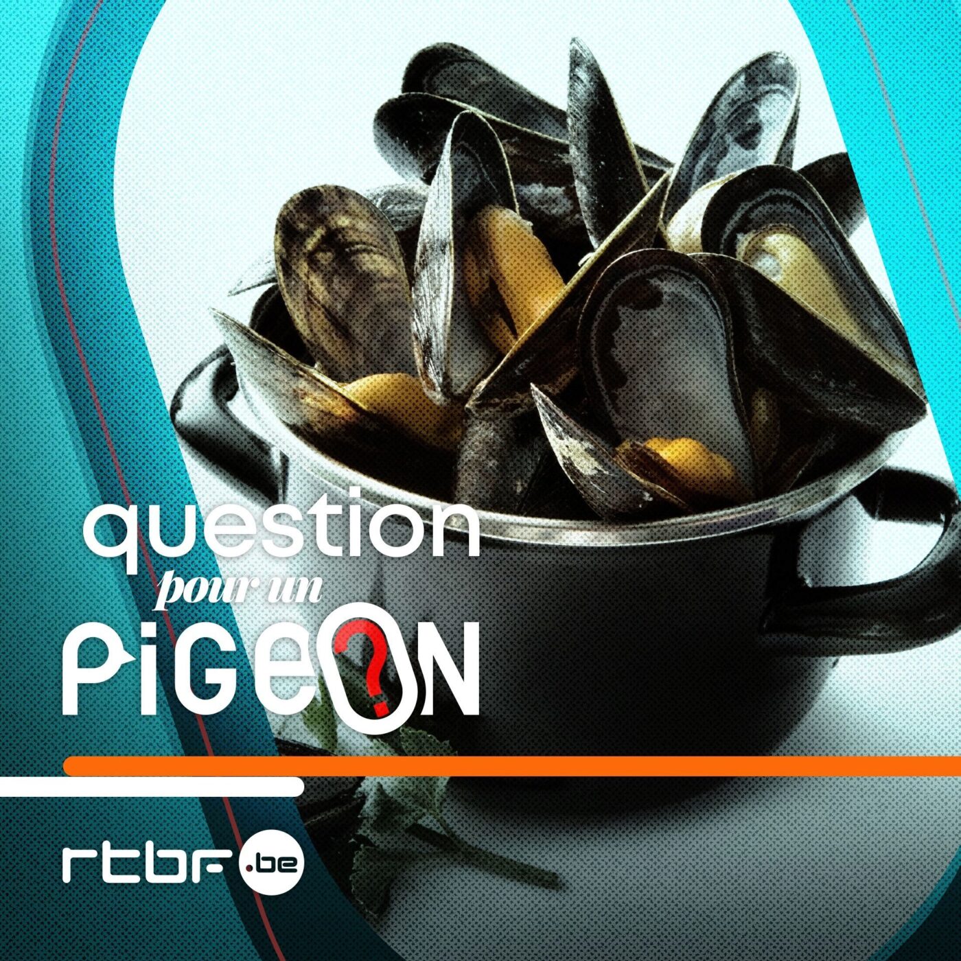 Question pour un pigeon