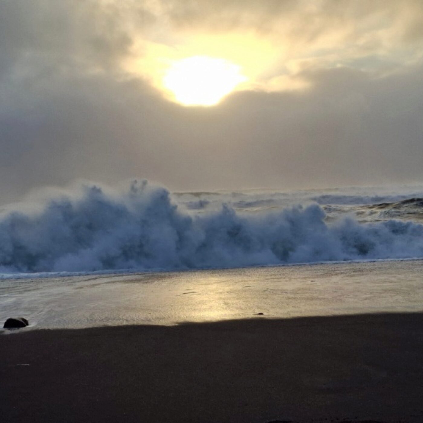 Les Agitateurs de neurones