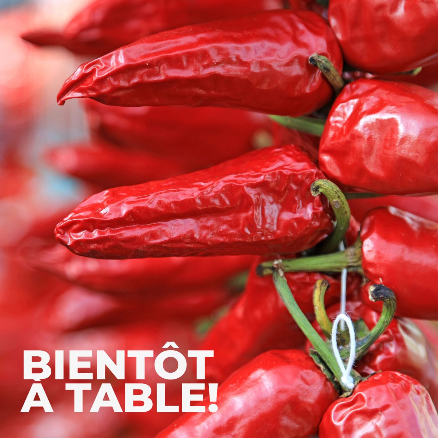 Le piment d'Espelette