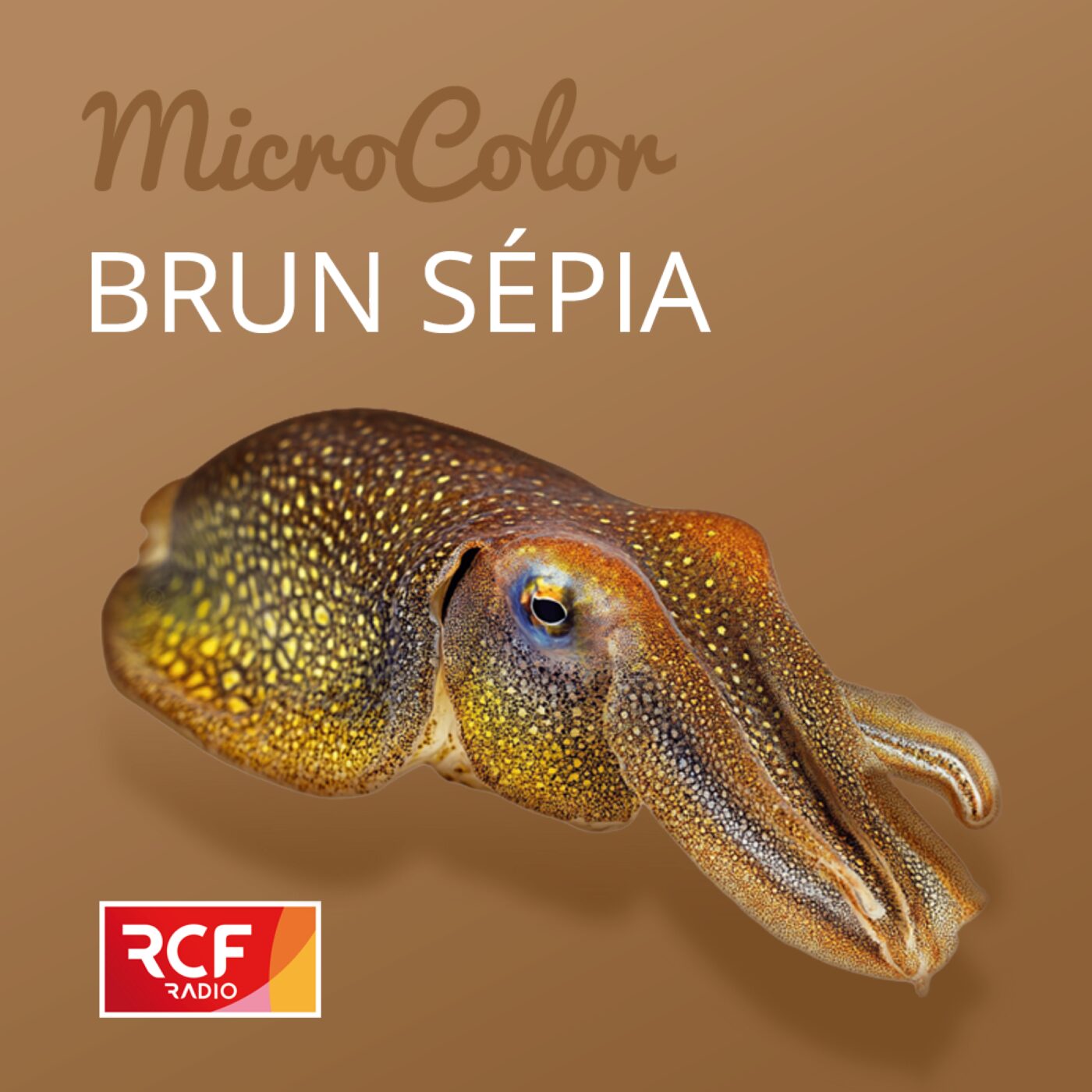 Brun sépia