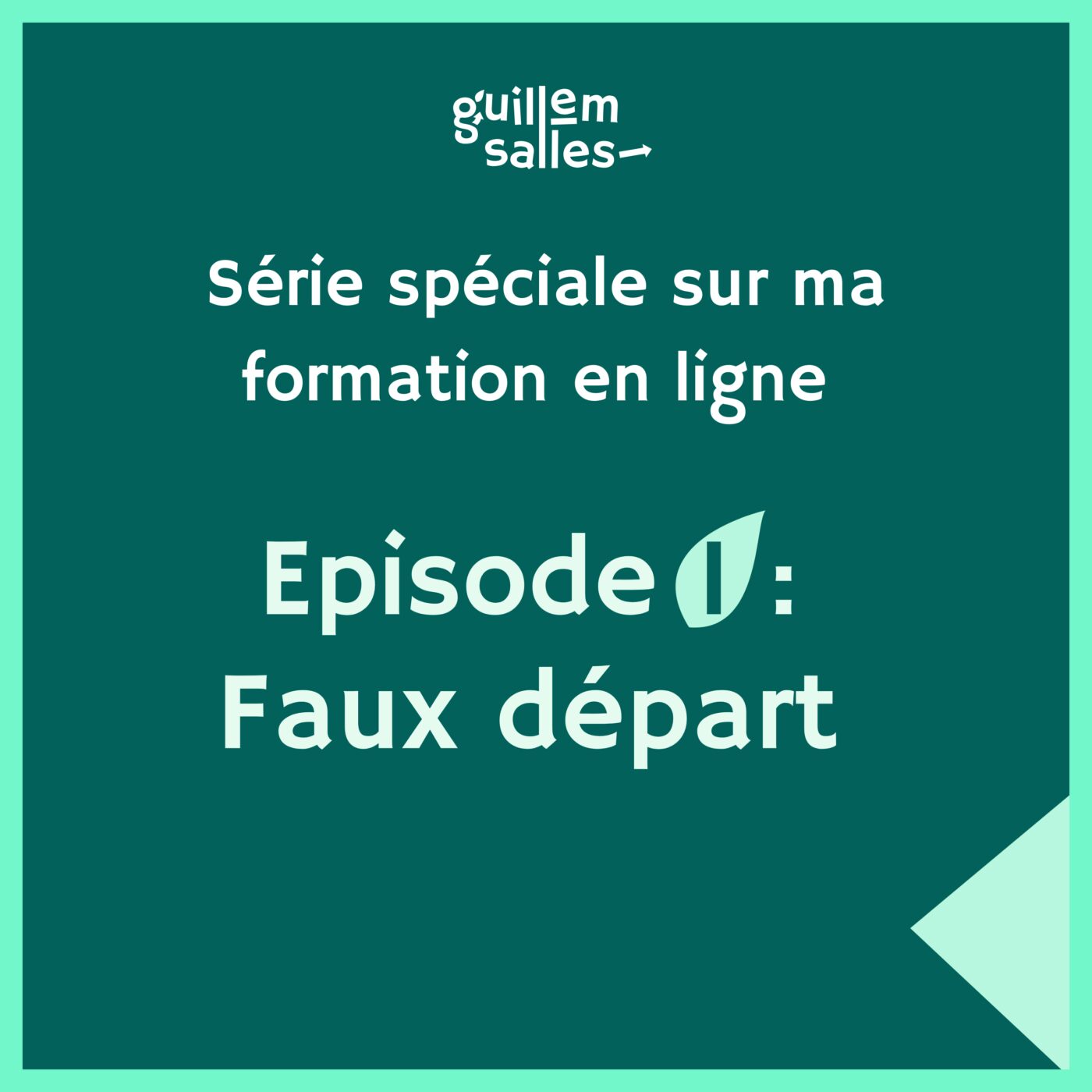 Ma formation LinkedIn pour les freelances engagés : épisode 1/4 : le faux départ