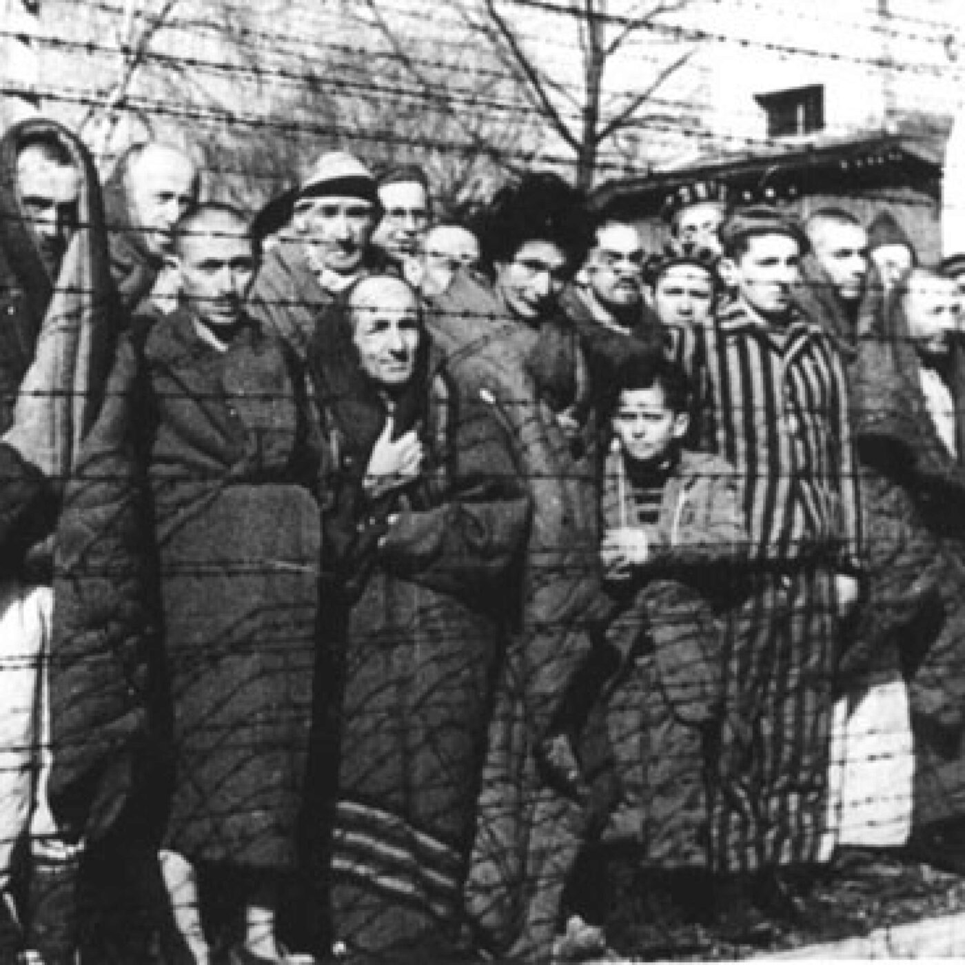 27 janvier 1945... L'HORREUR...Les Russes entre dans Auschwitz-Birkenau episode artwork