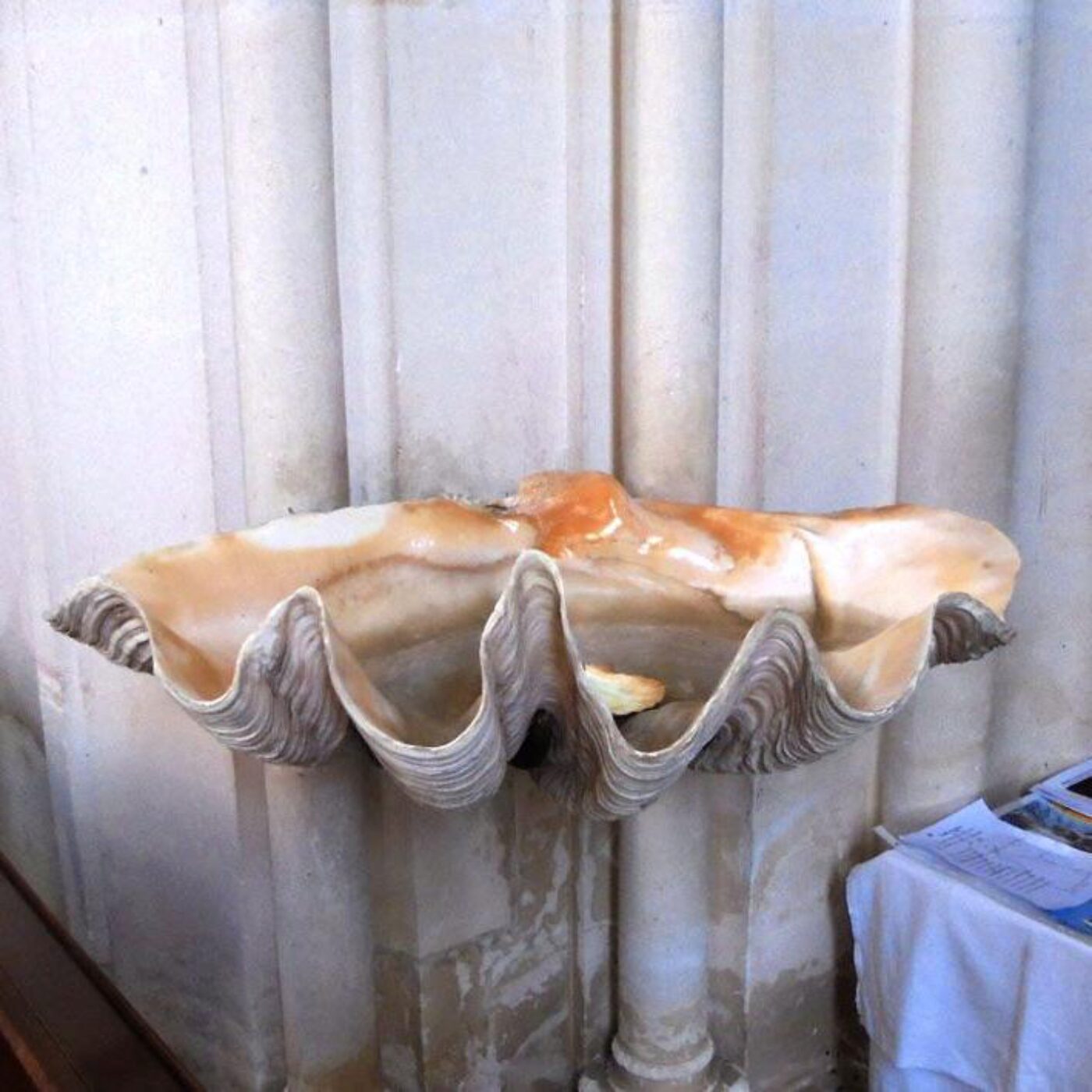 Exposition à Berne et les bénitiers de Polynésie