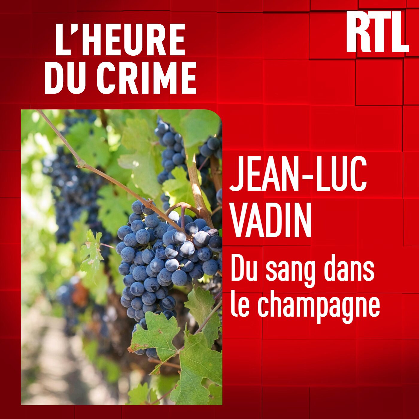 INCONTOURNABLE - Jean-Luc Vadin : du sang dans le champagne