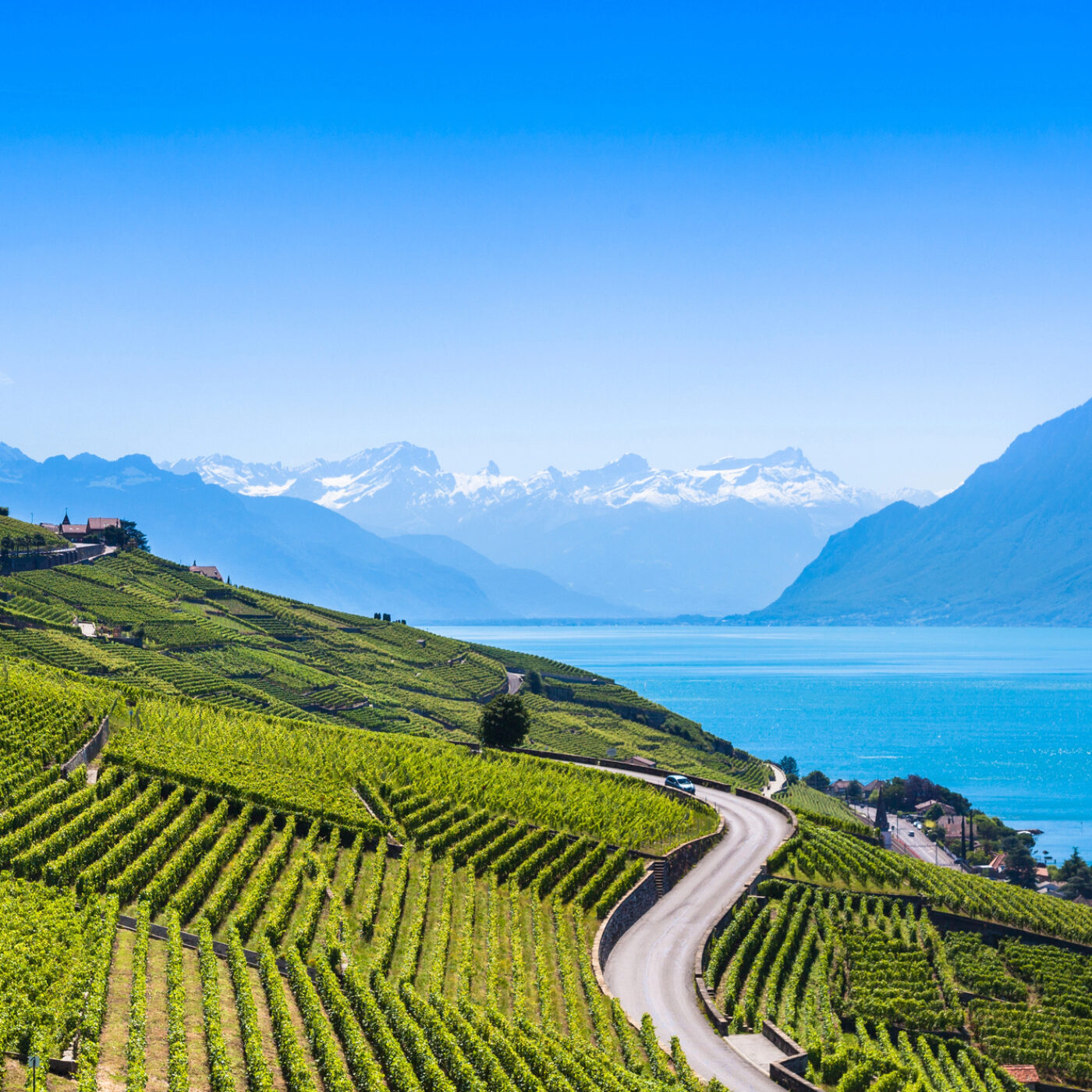 Vin 3/5 - Par monts et par Lavaux