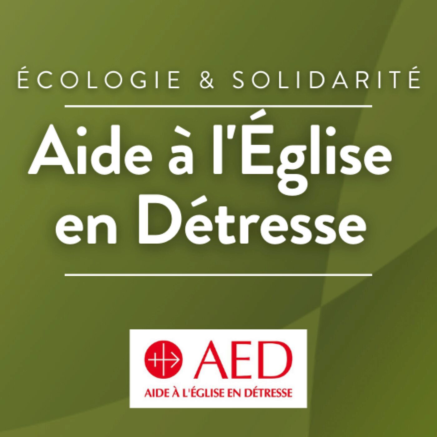 Remerciements à l’AED au mois du Sacré-Coeur de Jésus episode artwork