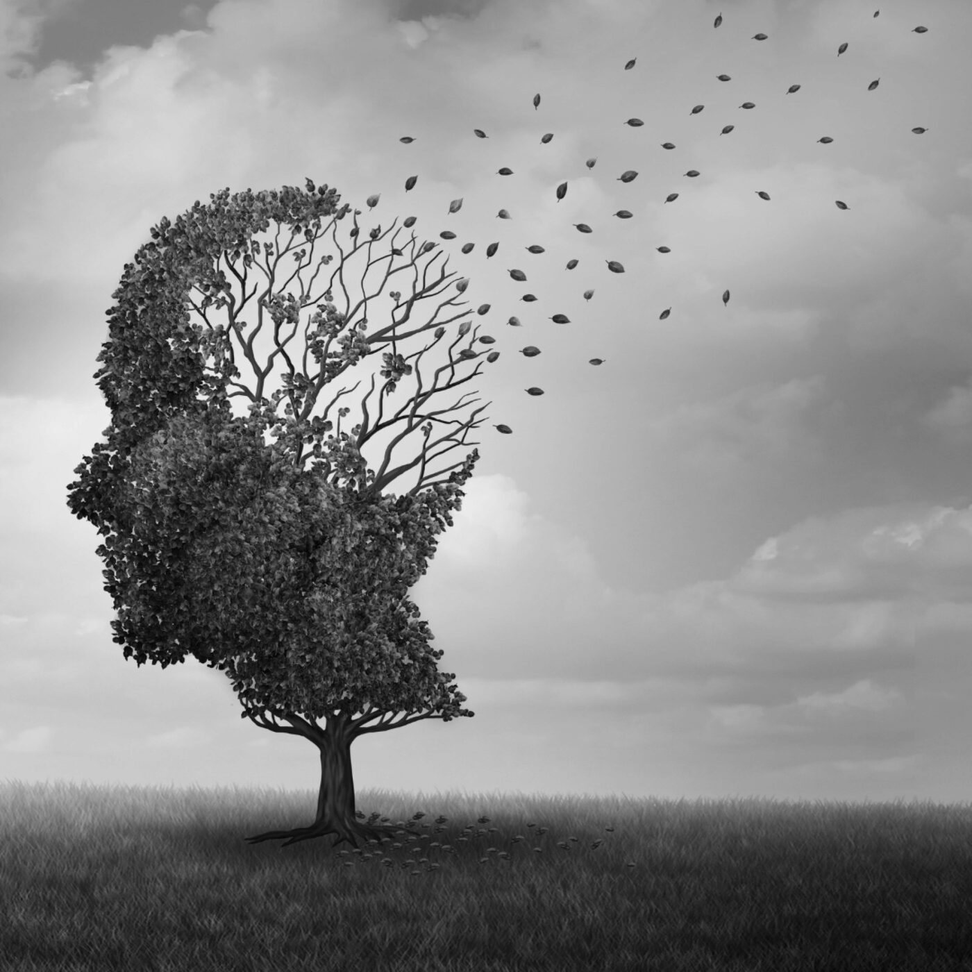 Chronique Société · RCF Alsace