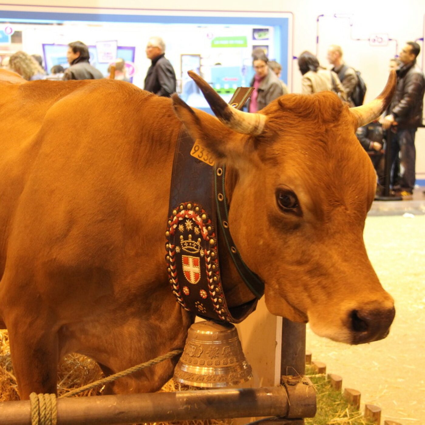 Journée des Savoie au Salon de l'Agriculture : "Le climat est apaisé" episode artwork