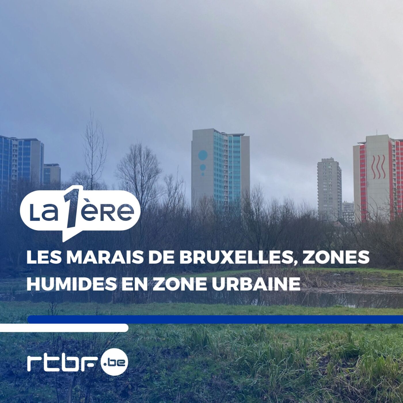 Épisode 2 : "Au marais de Ganshoren, y’a les vieux et y’a les jeunes"