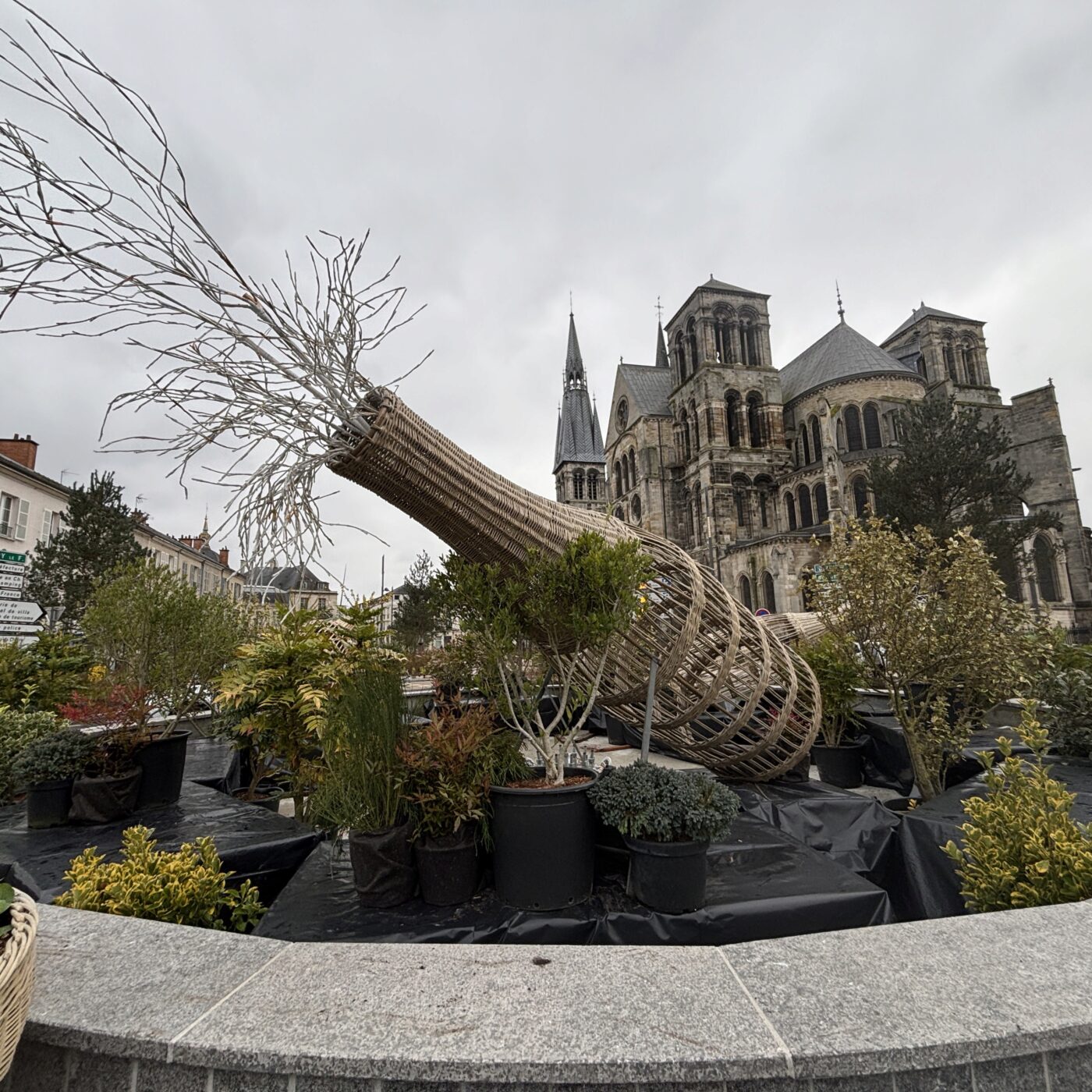 Châlons en Champagne : Un jardin éphémère aux couleurs du champagne episode artwork