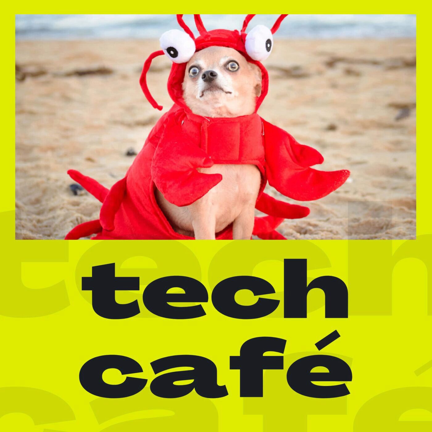 Homard de Windows 11