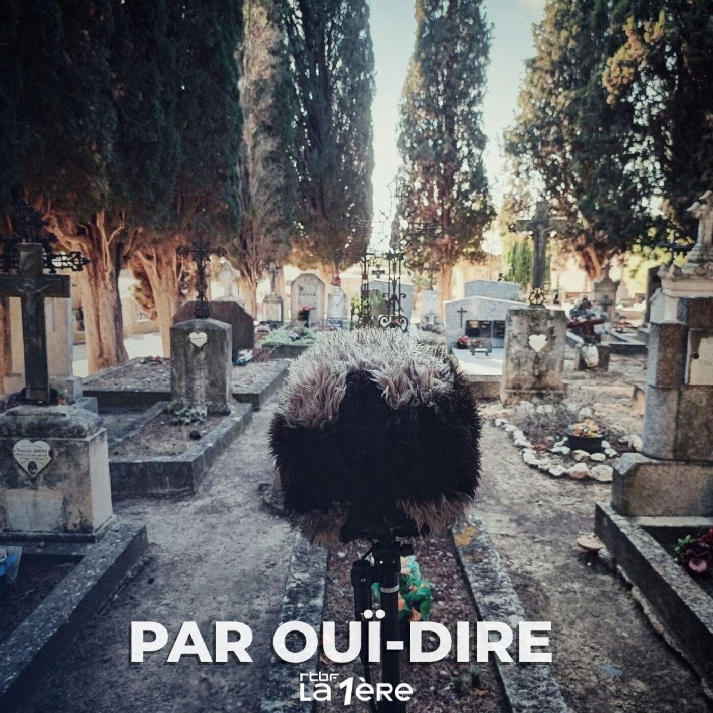 "Mourir n'est pas si grave" par Vania Jaikin Myazaki, Première partie