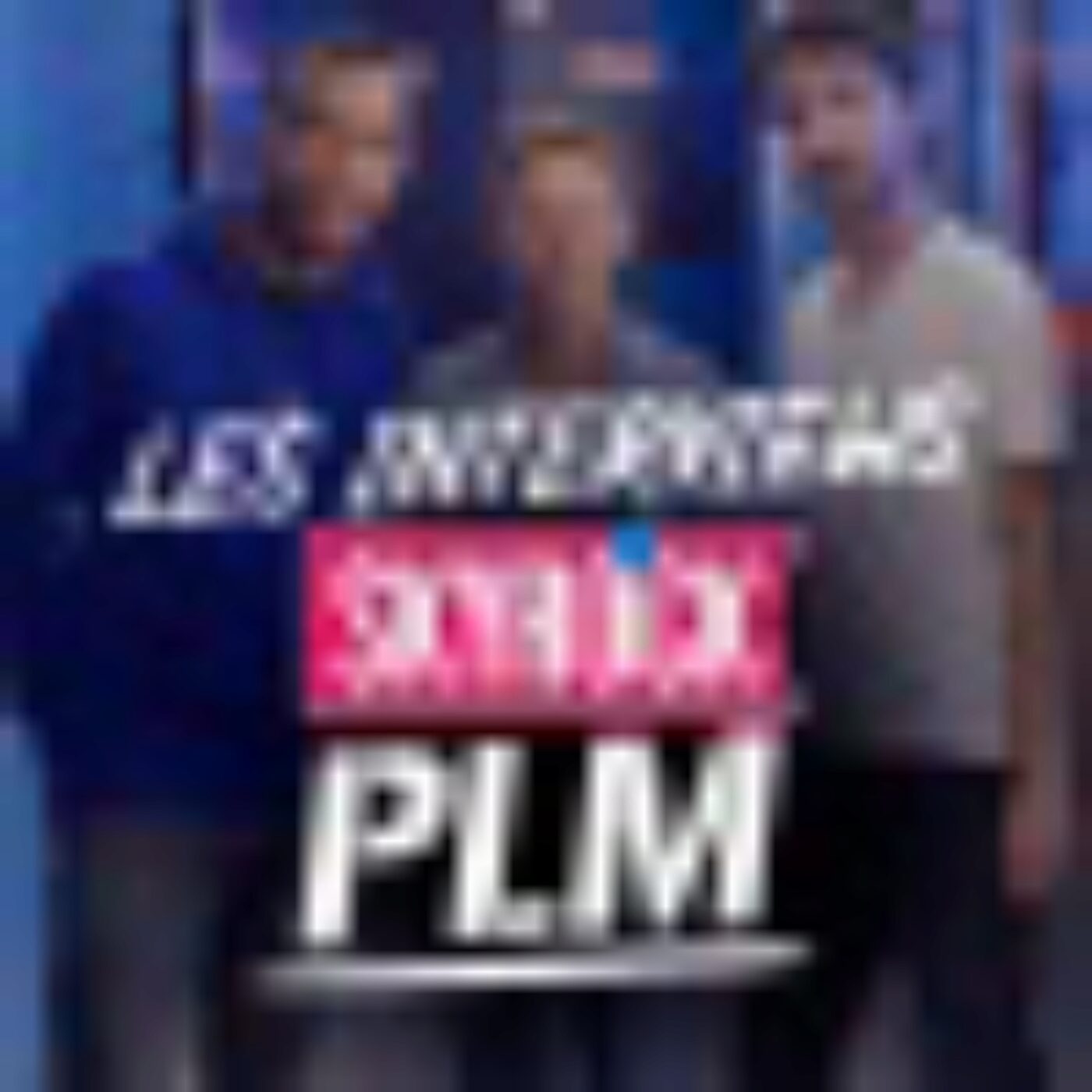 Les Interviews PLM