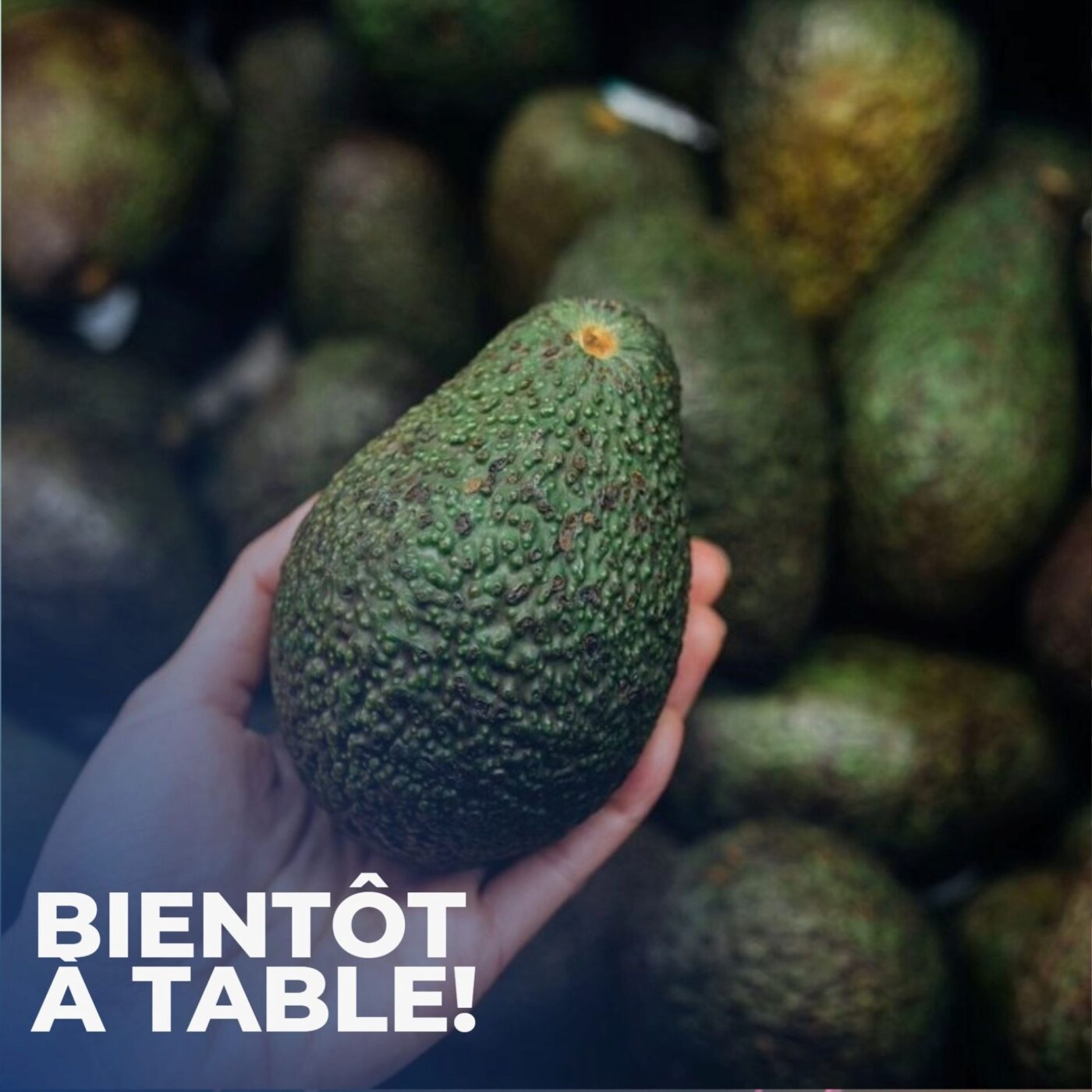 L'avocat: vertueux ou douteux?