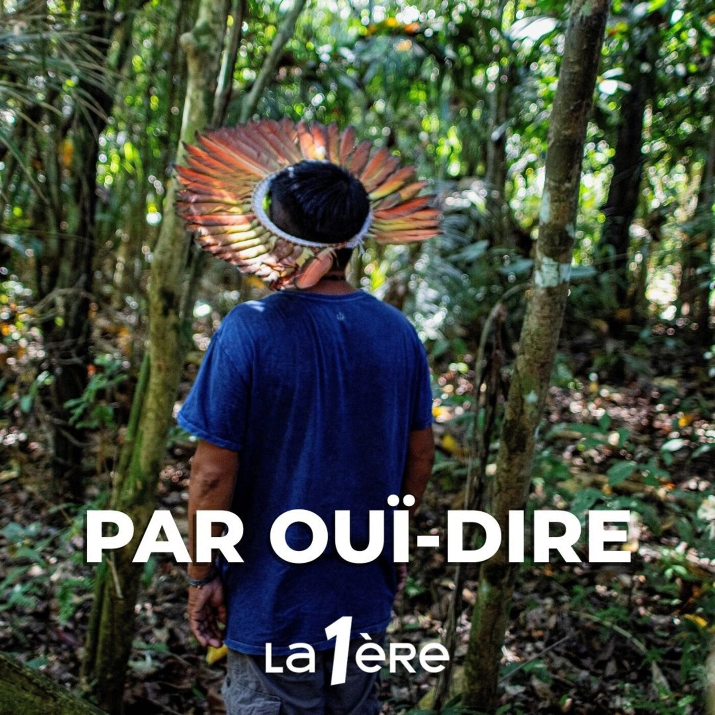 L'oreille nue, Première partie