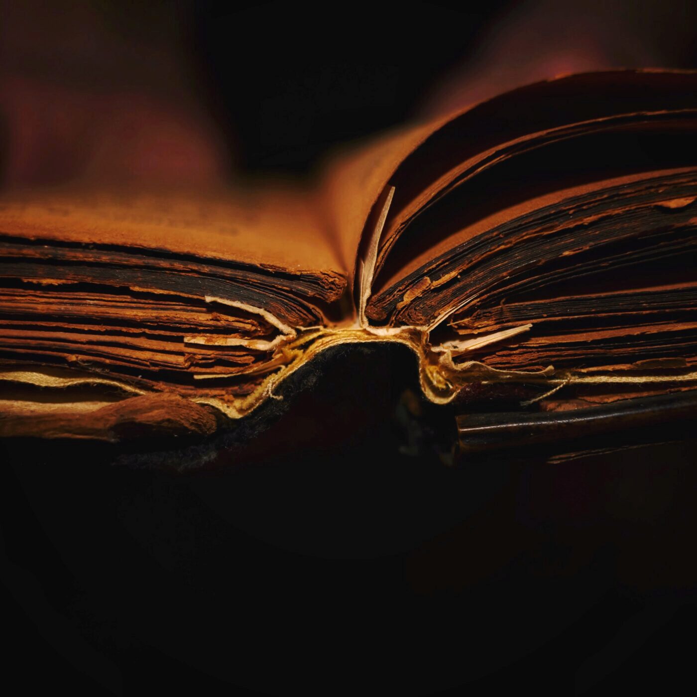 D'encre et de papier, la fabuleuse histoire des livres episode artwork