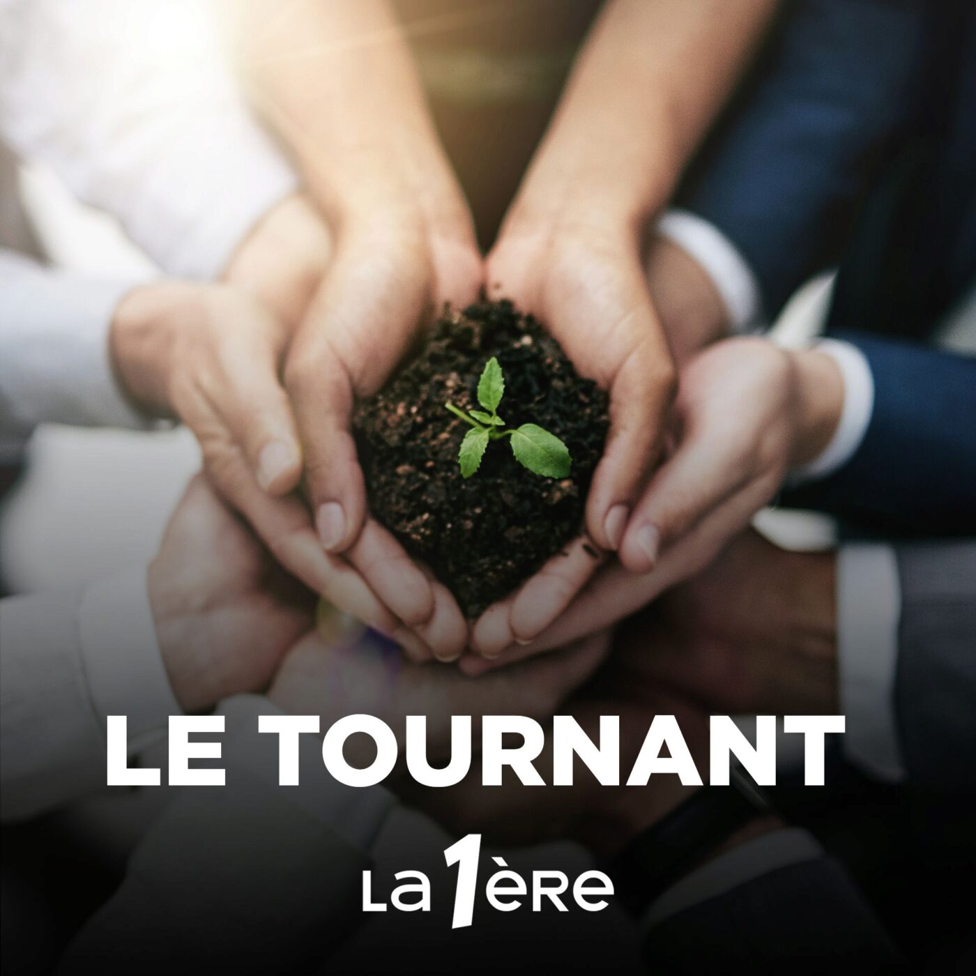 Entreprises : la robustesse plutôt que la performance ? (Partie 1)