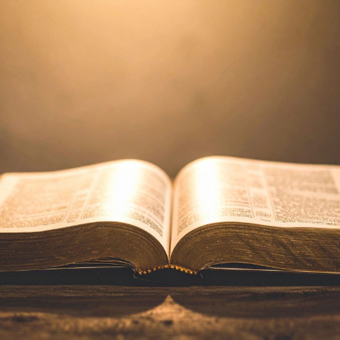 Chronique Société · RCF Alsace