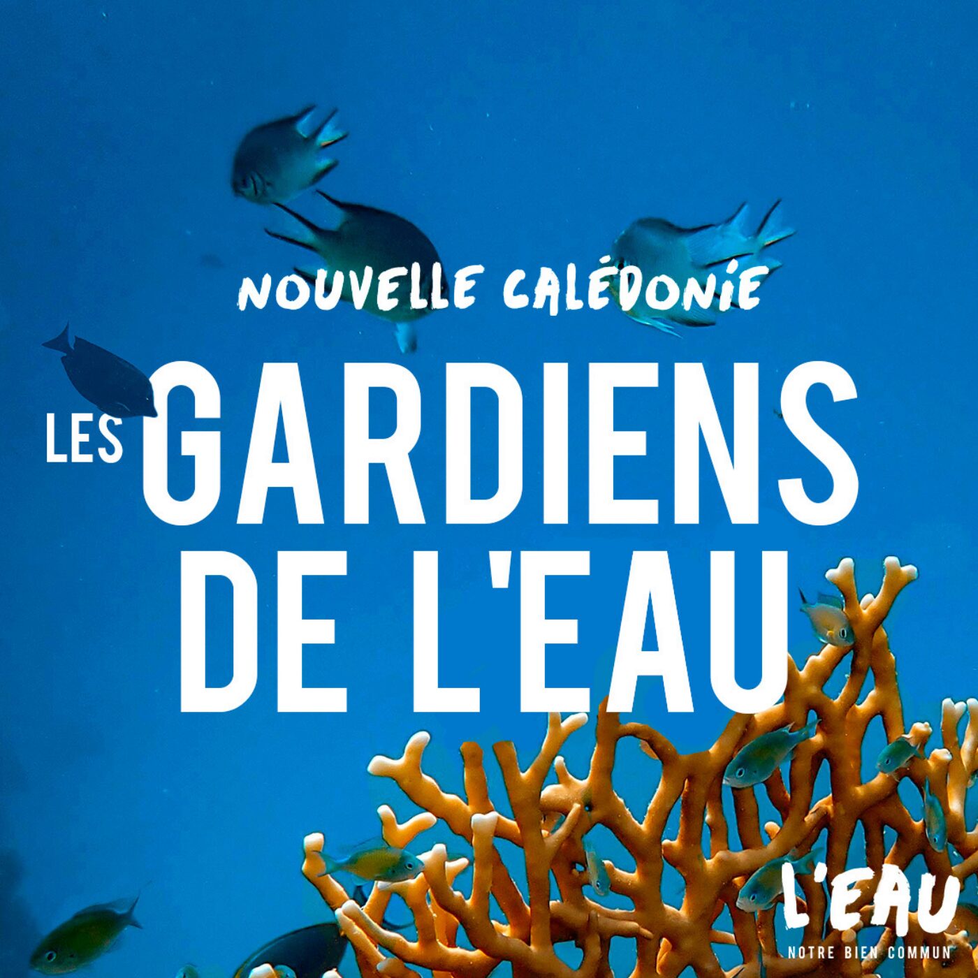 Les gardiens de l'eau en Nouvelle-Calédonie - 6/8 Les gardiens de l'eau en Nouvelle-Calédonie - 6/8