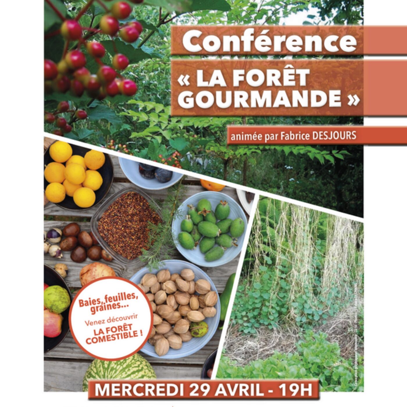 Conférence "La forêt gourmande" mercredi 29 avril avec Fabrice Desjours episode artwork