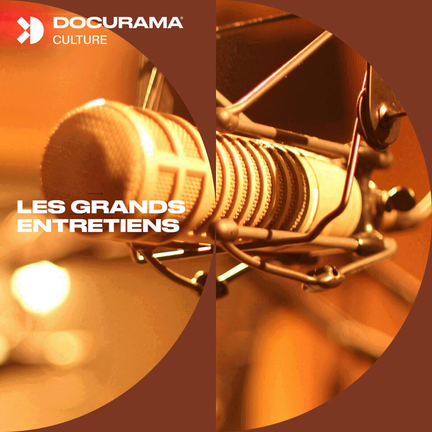Les grands entretiens - Boris Cyrulnik (1/2) episode artwork