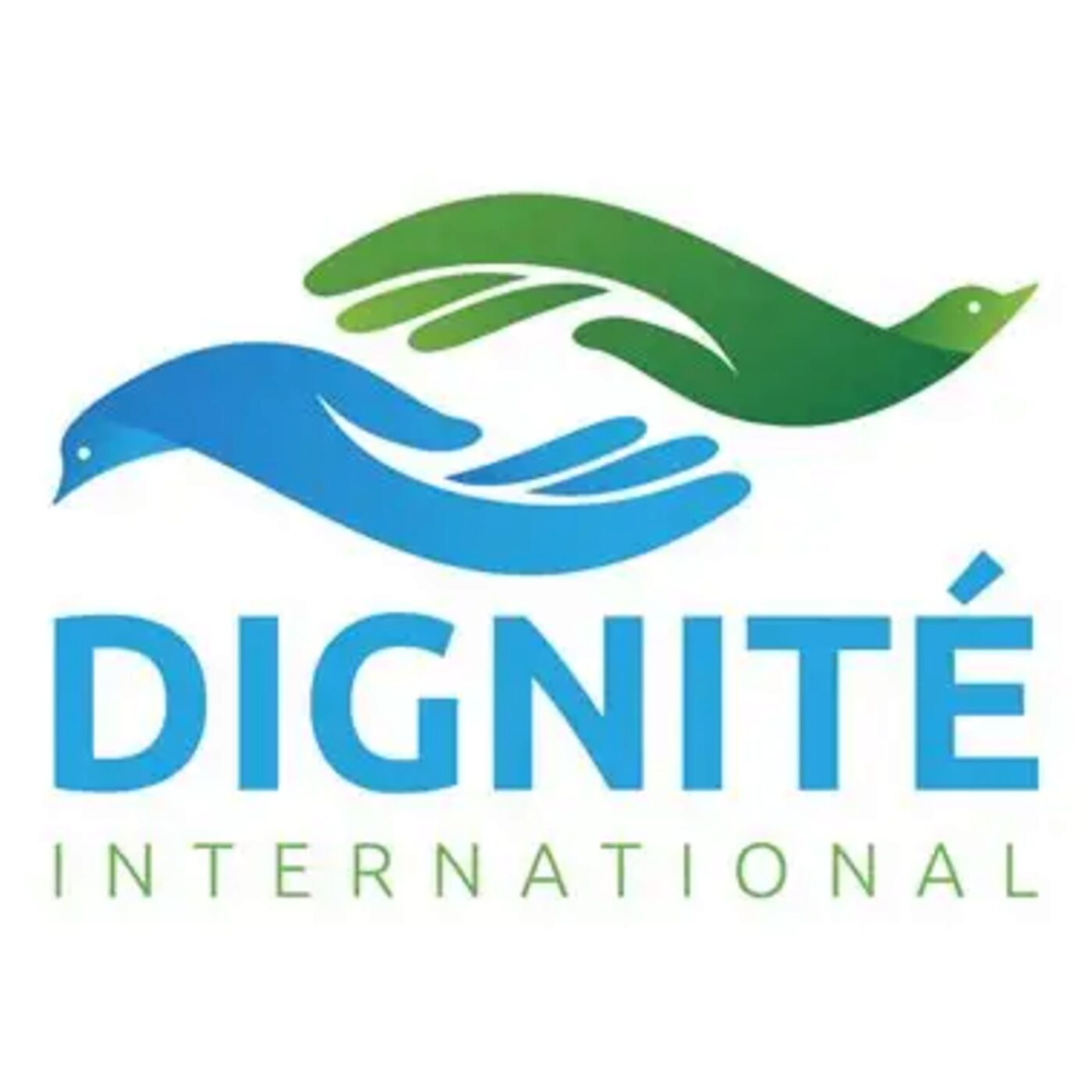 Nova Y Va : A la soirée de lancement de la campagne "Indignons-nous" par  DIGNITÉ International