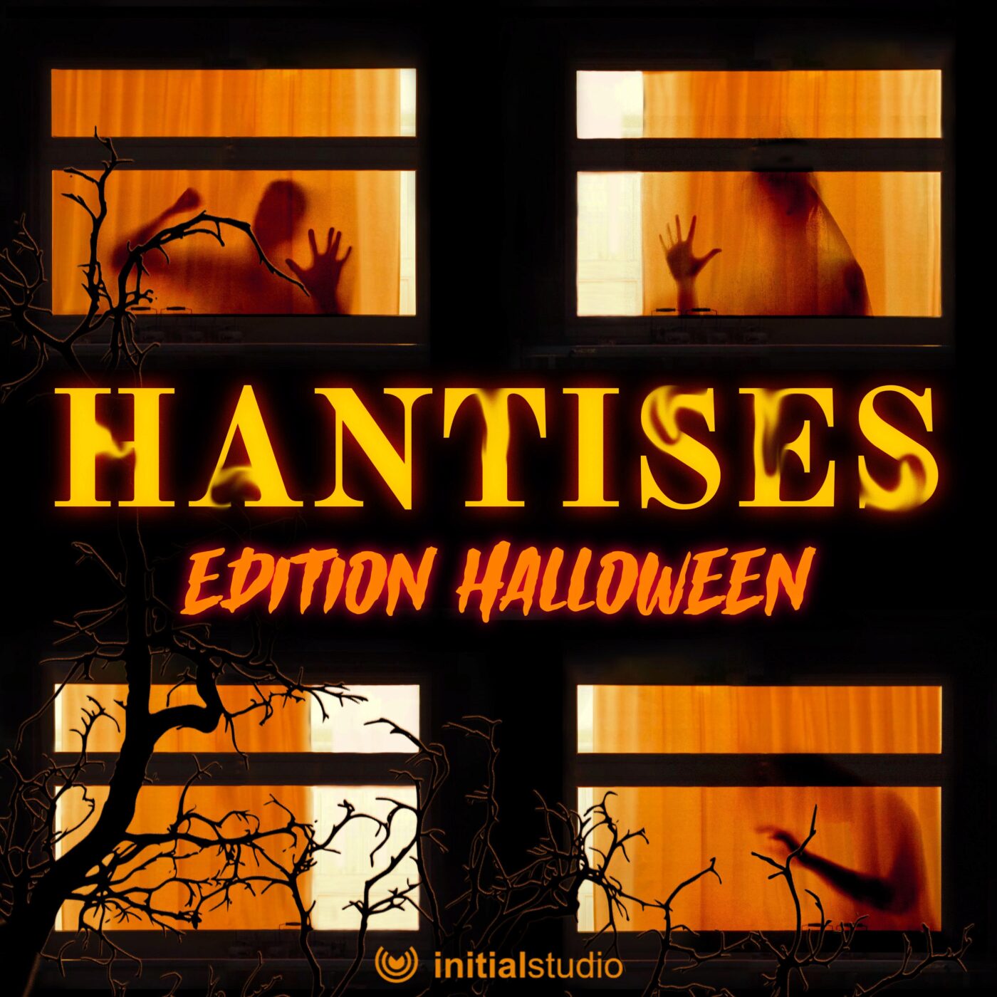Hantises - La possession de Mary Vogel episode artwork