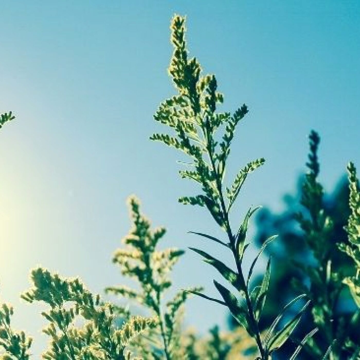 Prier pendant le Carême avec les soeurs de Pradines.