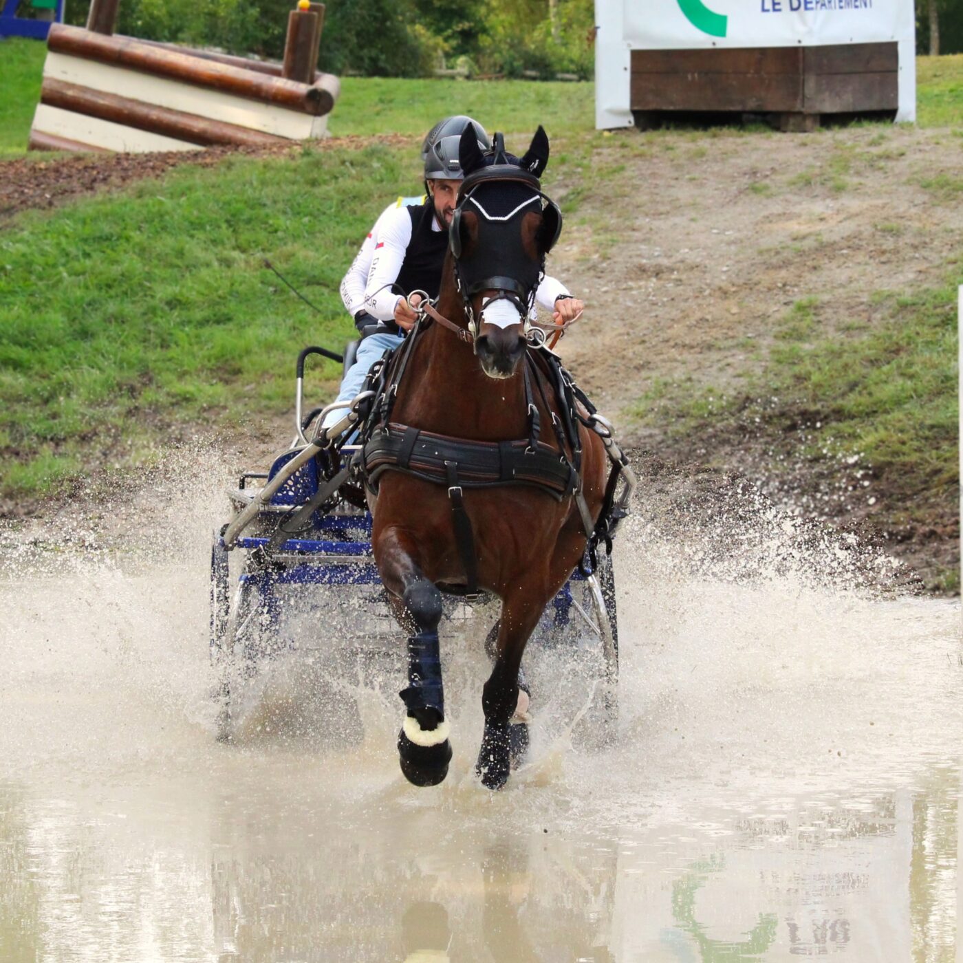 Le Haras du Pin accueille le Championnat du monde d'attelage poneys 2025 episode artwork