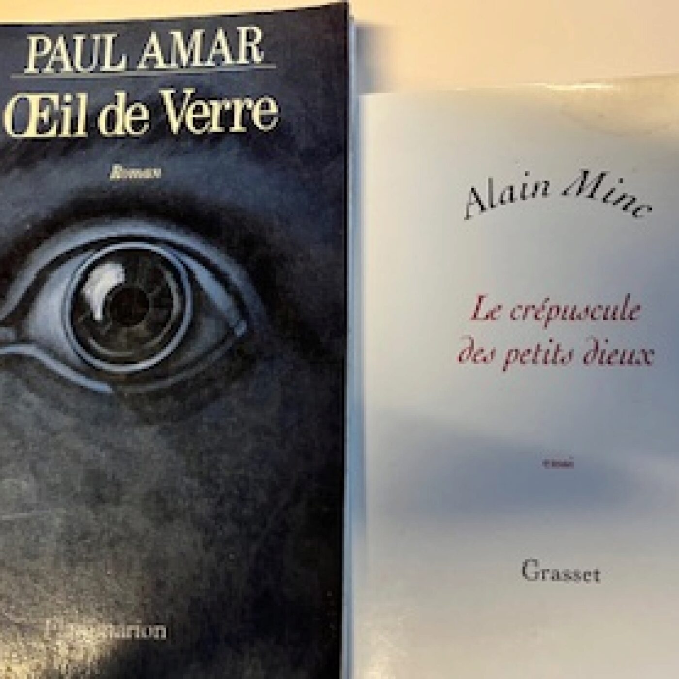 Quel avenir pour la démocratie Française episode artwork