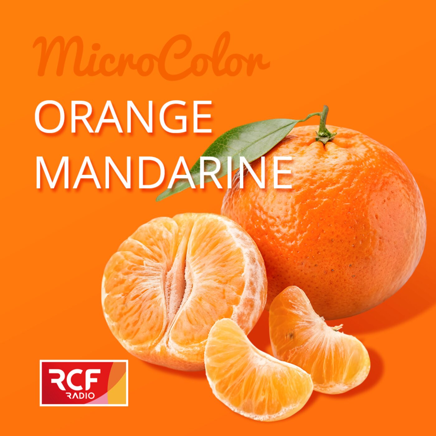 Orange mandarine episode artwork