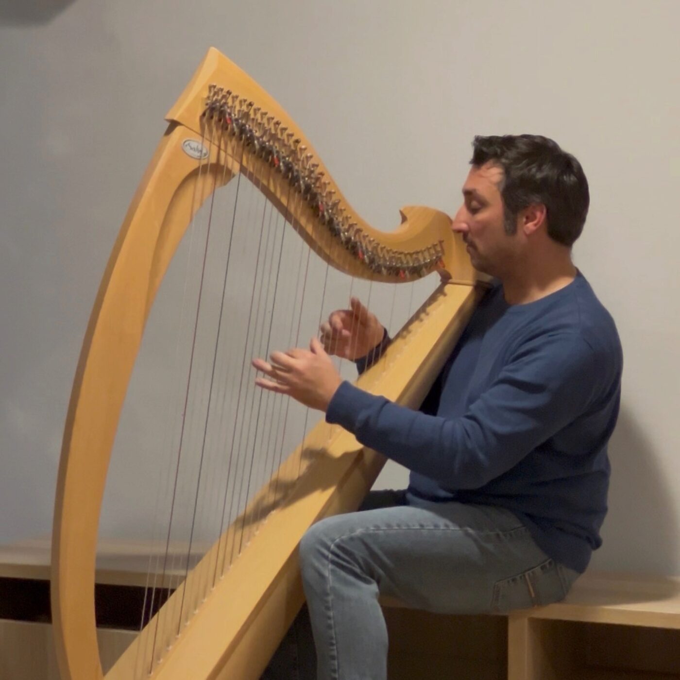 De la harpe contre les troubles meuro-cognitifs ! episode artwork