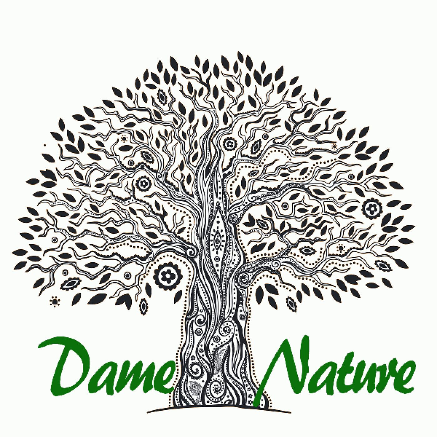 Dame Nature à La Gacilly : la santé par les plantes episode artwork