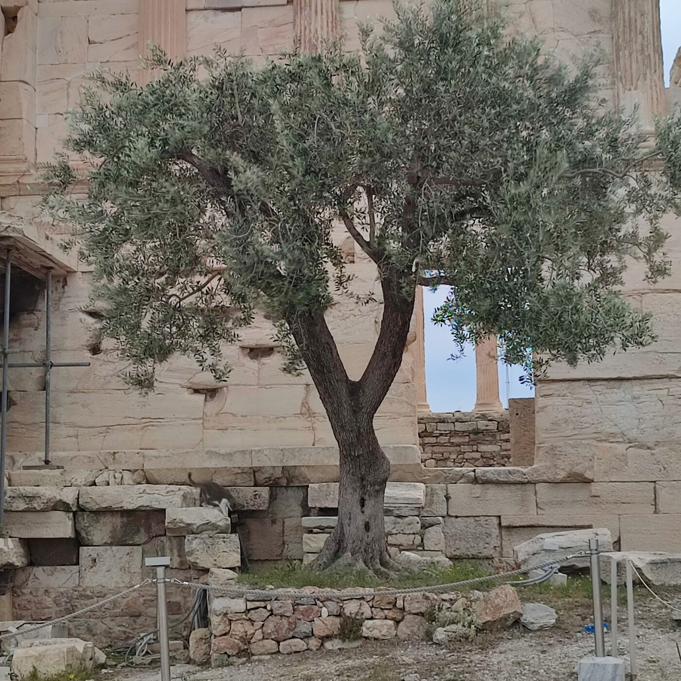 Histoires de Patrimoine