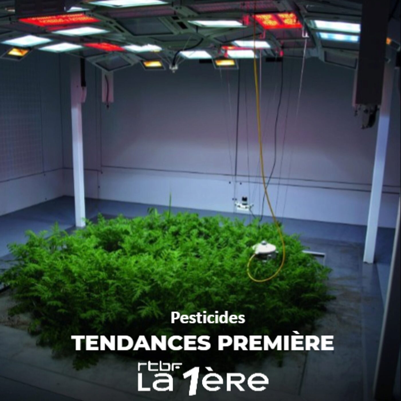 Pesticides : un système à repenser ? episode artwork