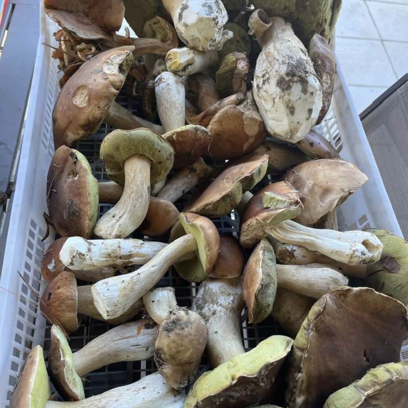 Détours Gourmands
