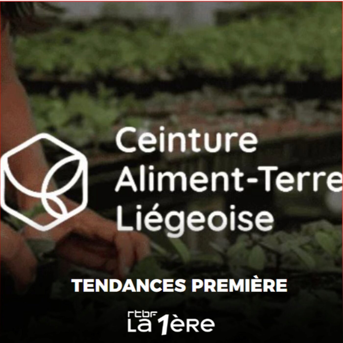 Agroécologie : il y a + de 20 ans, la Ceinture Aliment-Terre Liégeoise ! episode artwork
