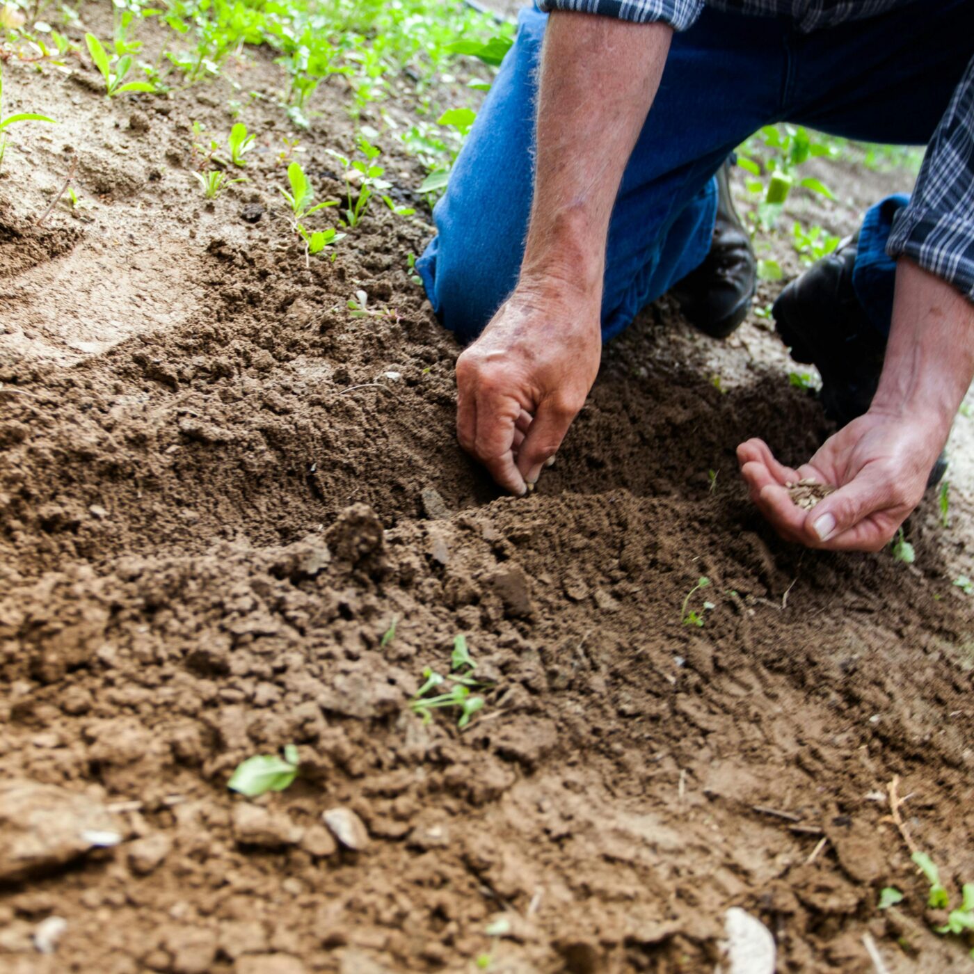 Je pense donc j\'agis