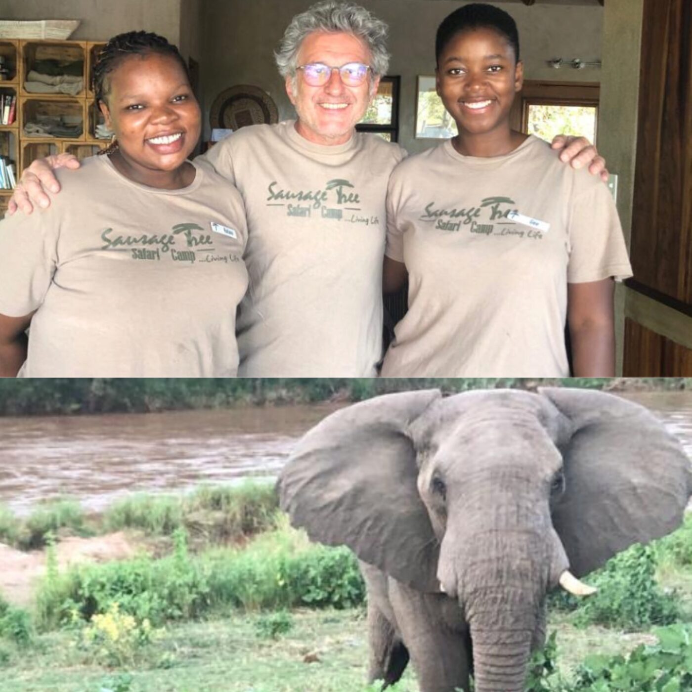 En Afrique du sud, au Musée de l’Apartheid et en Game drive episode artwork
