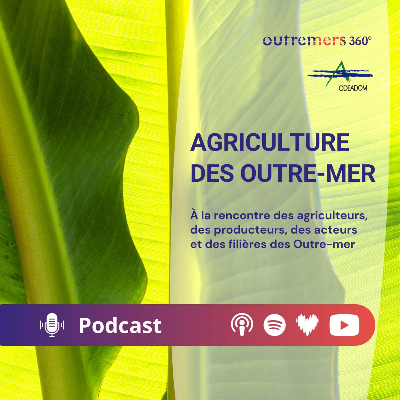 Agriculture des Outre-mer
