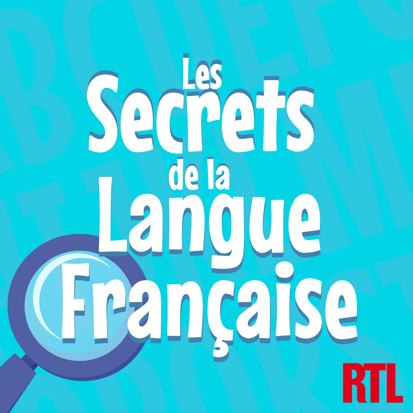 Artwork for Les secrets de la langue française : orthographe, grammaire et conjugaison