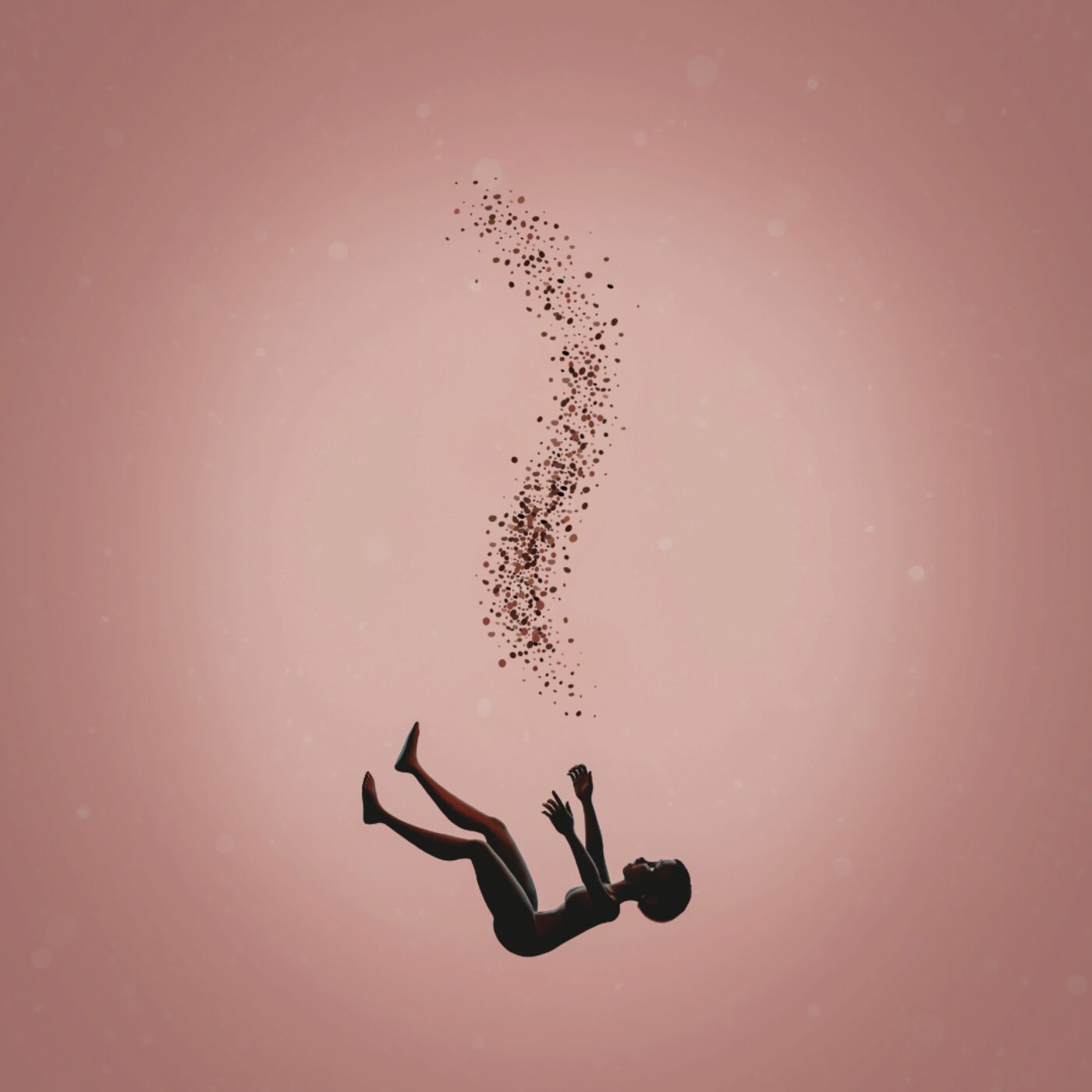 Le temps d'une chute de Claire Wolniewicz aux éditions Viviane Hamy episode artwork