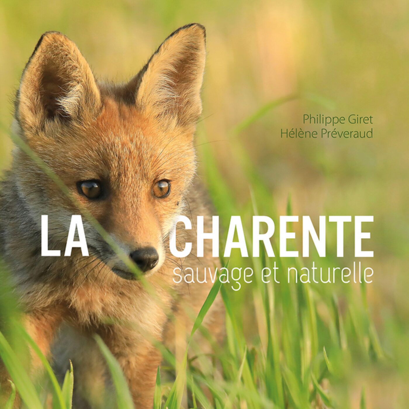 Livre "La Charente sauvage et naturelle" entre photographies et dessins episode artwork