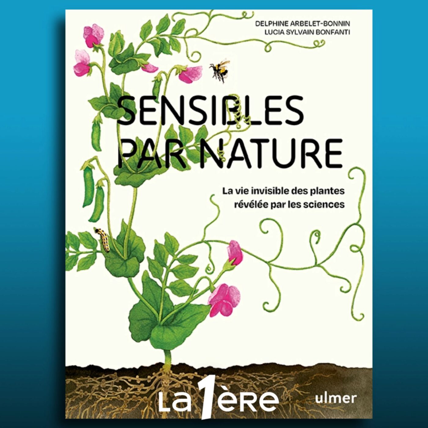 Comment se perçoit la sensibilité des plantes ?