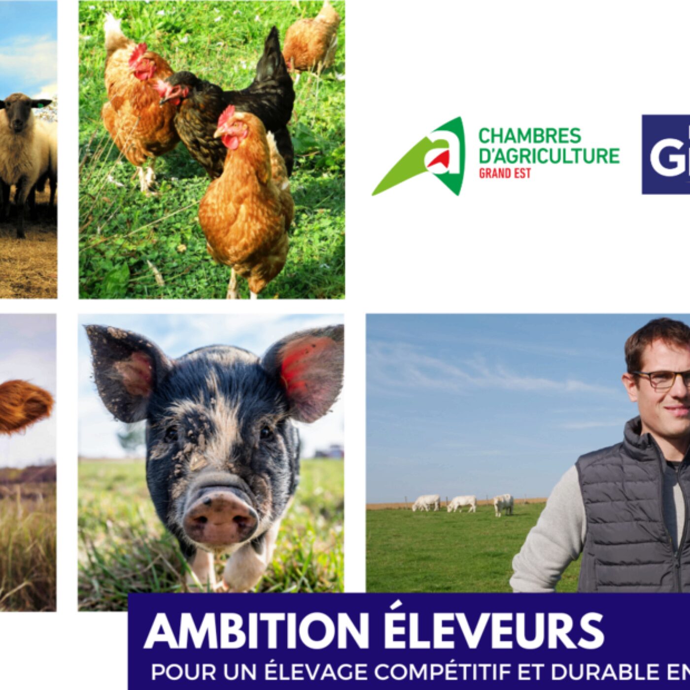 Béatrice Moreau : Le programme Ambition Éleveurs episode artwork
