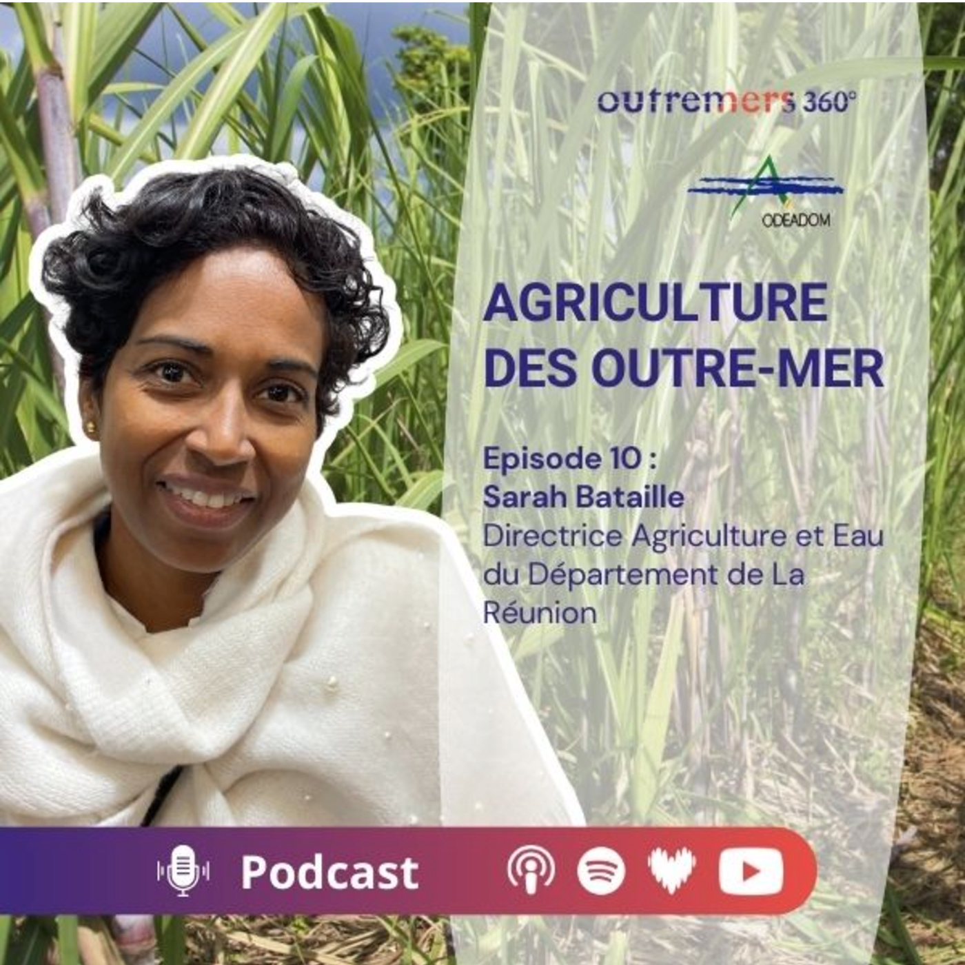 Episode 10_Sarah Bataille - Directrice Agriculture et Eau au Département de La Réunion episode artwork