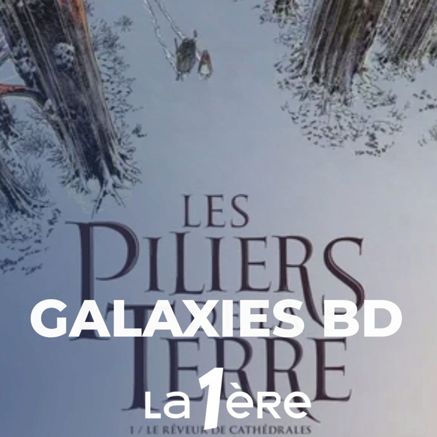 Chronique Cynthia Deschamps :  Les  bandes dessinées adaptées de romans ou d’essais