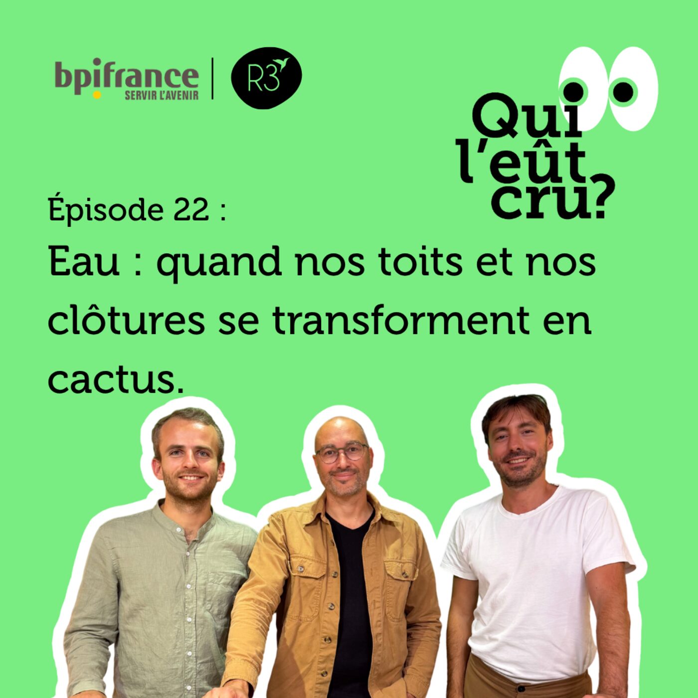 Eau : quand nos toits et nos clôtures se transforment en cactus ?